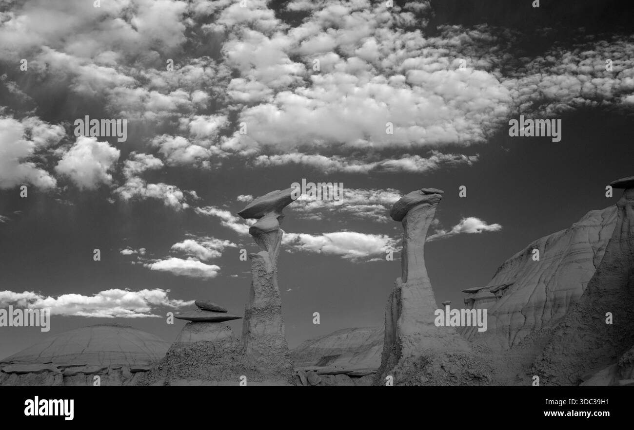 Conversing Hoodoos, De-Na-Zin Wilderness, Bisti Badlands, New Mexico Foto Stock