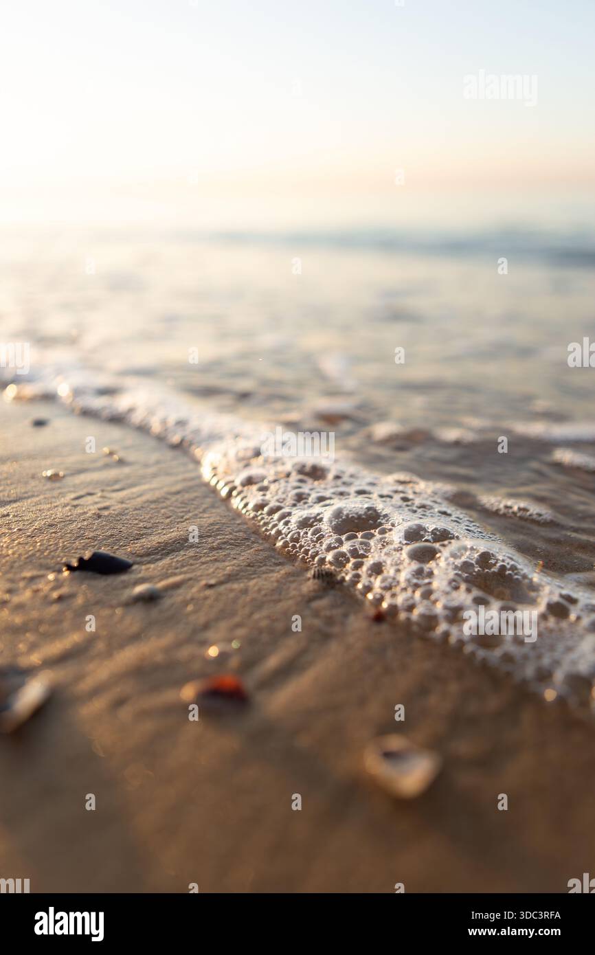 La luce soffusa e dorata del sole illumina le dolci onde del mare che si infrangono sulla spiaggia sabbiosa, catturando le superfici tranquille della spiaggia e le piccole conchiglie in una tranquilla spiaggia costiera sc Foto Stock