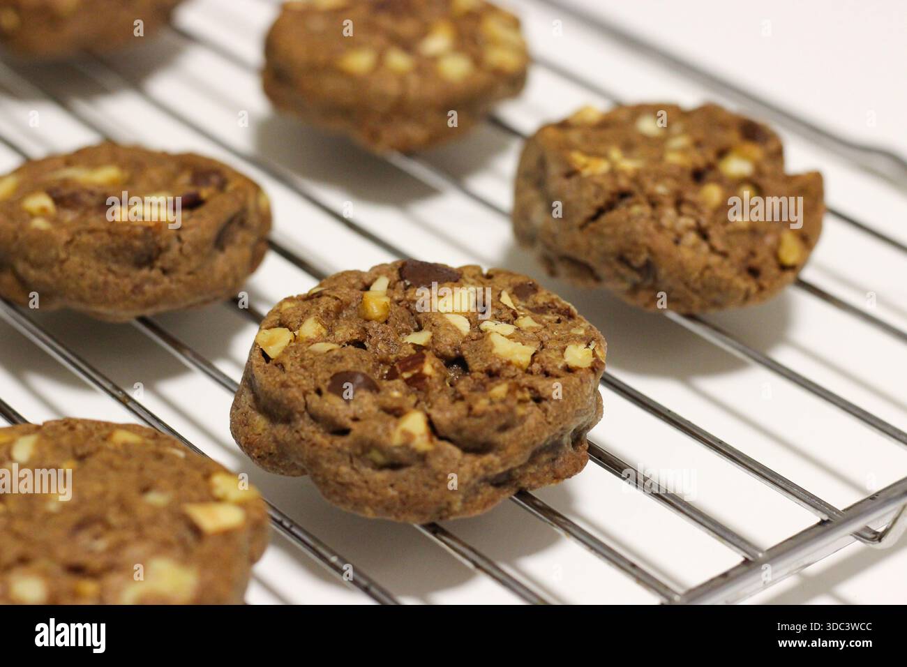 Biscotti fatti in casa con gocce di cioccolato e raffreddamento delle noci su una griglia metallica Foto Stock