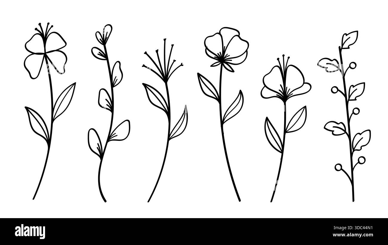 Disegno minimalista della linea degli steli dei fiori. Illustrazione vettoriale Illustrazione Vettoriale