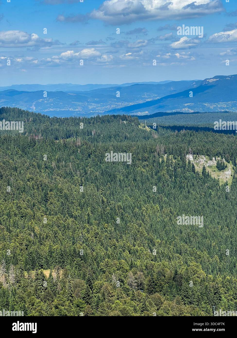 Vista panoramica dal monte Jahorina, con fitte foreste sempreverdi, colline ondulate e un cielo azzurro limpido in una luminosa giornata estiva. - Immagine stock catturata con smartphone