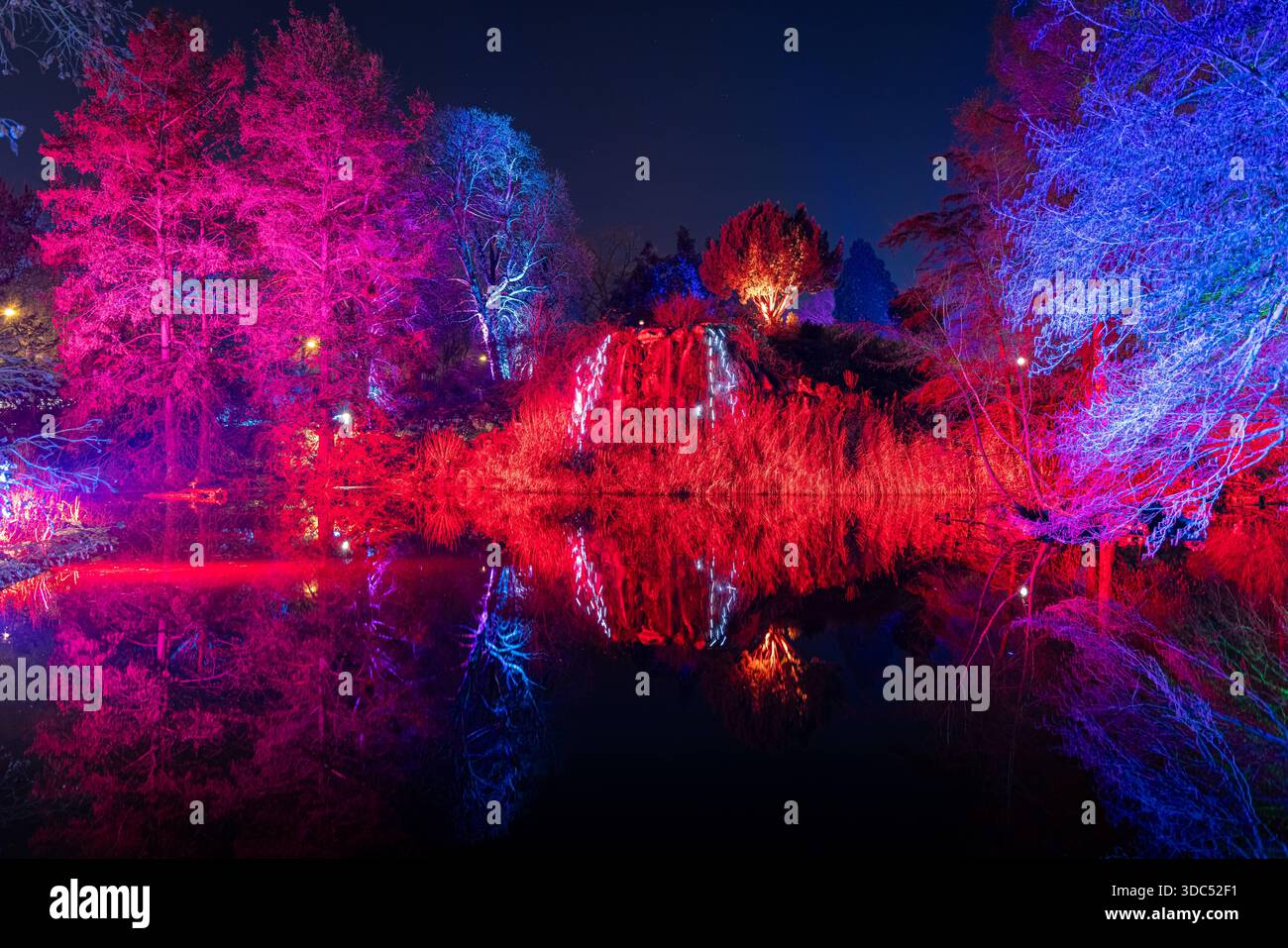 Winterlichter im Palmengarten a Francoforte sul meno Vom 29. Novembre 2025 bis zum 11. Gennaio 2026 illuminiert der Palmengarten mit seinem Partner World of Lights den Garten mit hunderten Lichtern und schafft so eine einzigartige Atmosphäre. Bunt schimmert es in dieser Zeit abends zwischen den Bäumen, in den Beeten leuchten die Pflanzen und auf den Wiesen und an den Schauhäusern strahlen kunstvolle motive und spektakuläre Lichtprojektionen. Francoforte sul meno Palmengarten Hessen Deutschland *** luci invernali al Palmengarten di Francoforte sul meno dal 29 novembre 2025 all'11 gennaio 2026, il Foto Stock