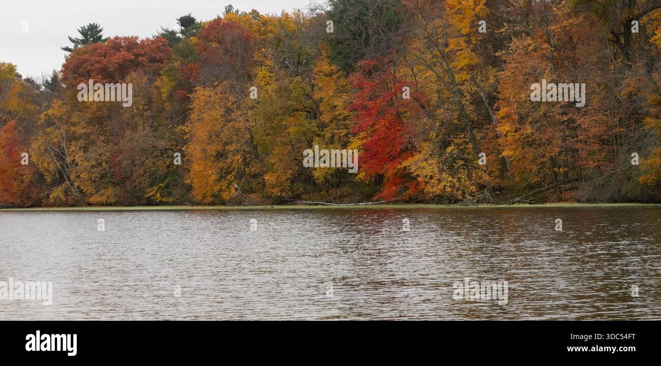 Mirror Lake con betulle e aceri lungo la costa. Fotografato con fogliame autunnale sugli alberi nel Mirror Lake State Park, Wisconsin. Foto Stock