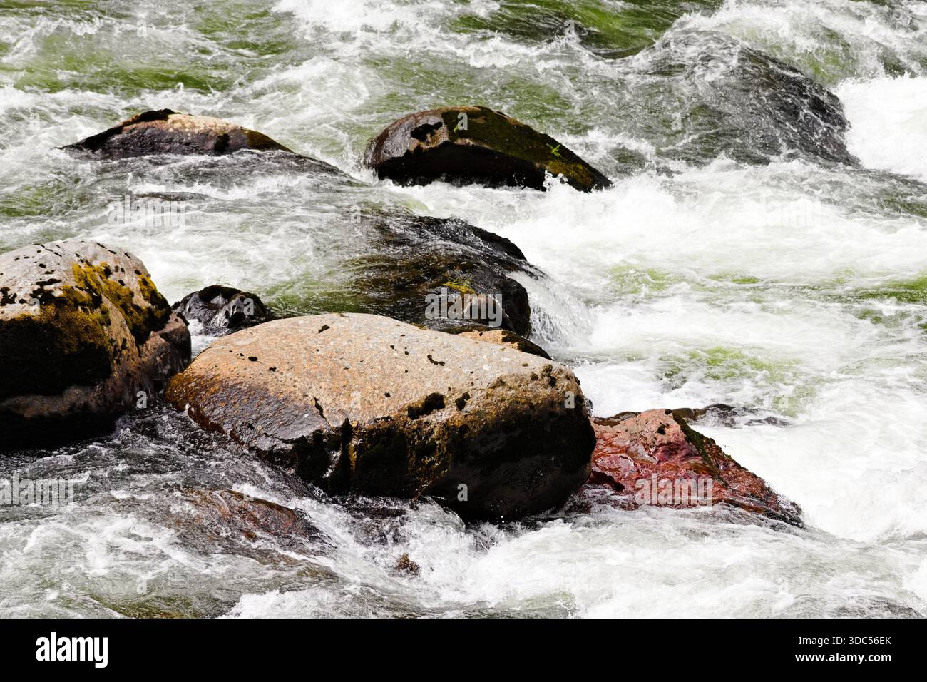 Primo piano di rocce fluviali circondate da acque affollate vicino a Snoqualmie, Washington Foto Stock