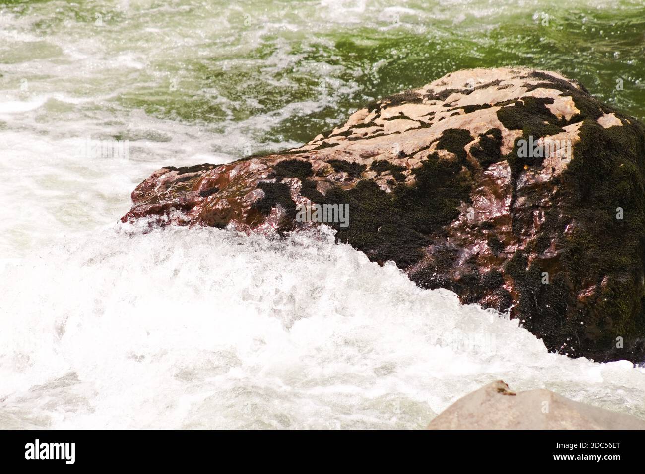 Primo piano di rocce fluviali circondate da acque affollate vicino a Snoqualmie, Washington Foto Stock