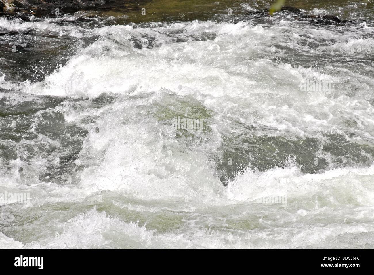 Primo piano delle rapide fluviali a Snoqualmie, Washington Foto Stock