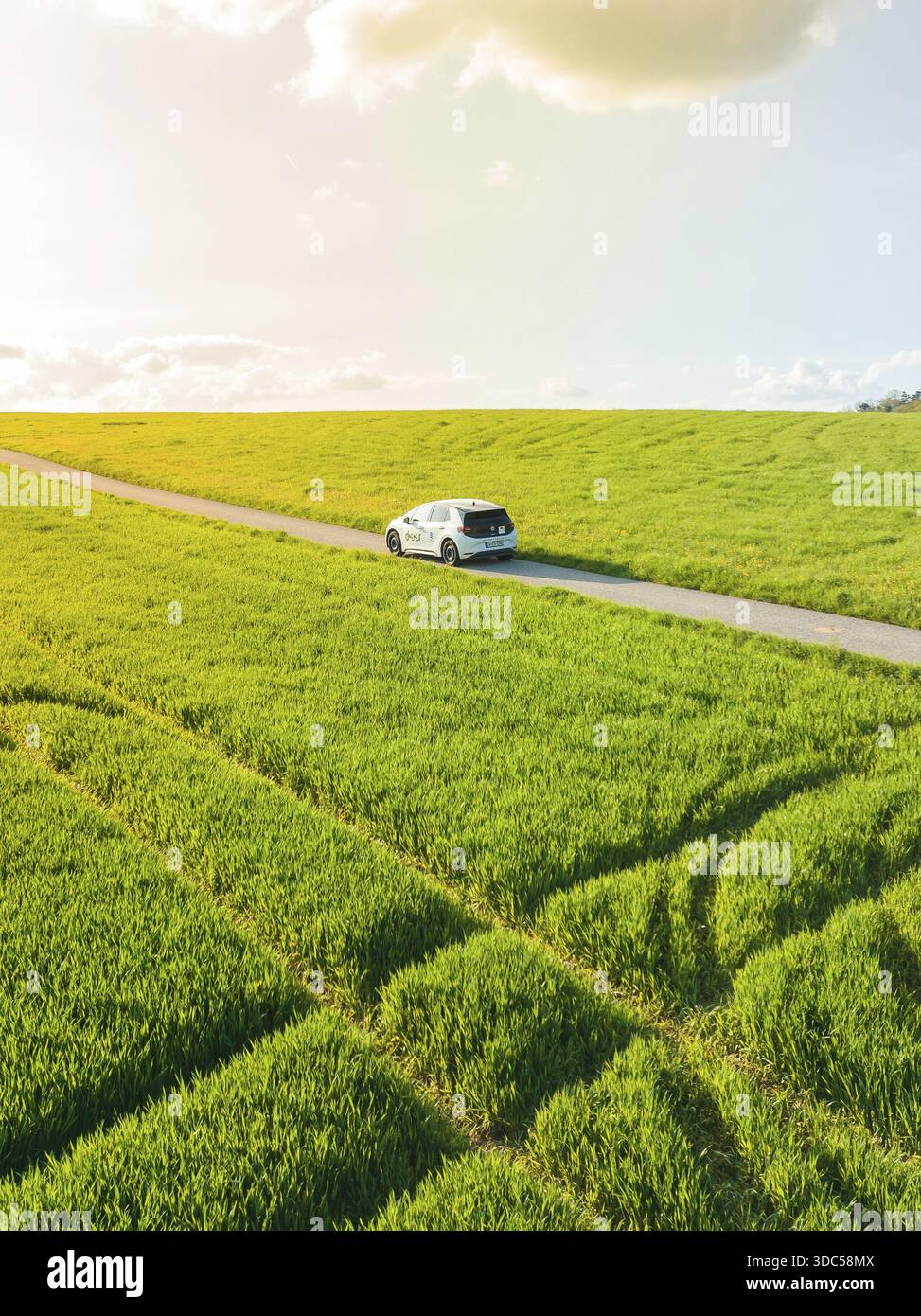 Guida in auto su una strada di campagna attraverso vasti campi verdi alla luce del sole, ID3 VW, condivisione di auto con cervi. Calw, Germania Foto Stock