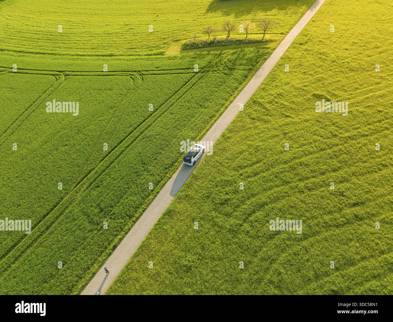 Guida su una strada asfaltata attraverso un paesaggio agricolo soleggiato, ID3 VW, condivisione di auto con cervi. Calw, Germania Foto Stock