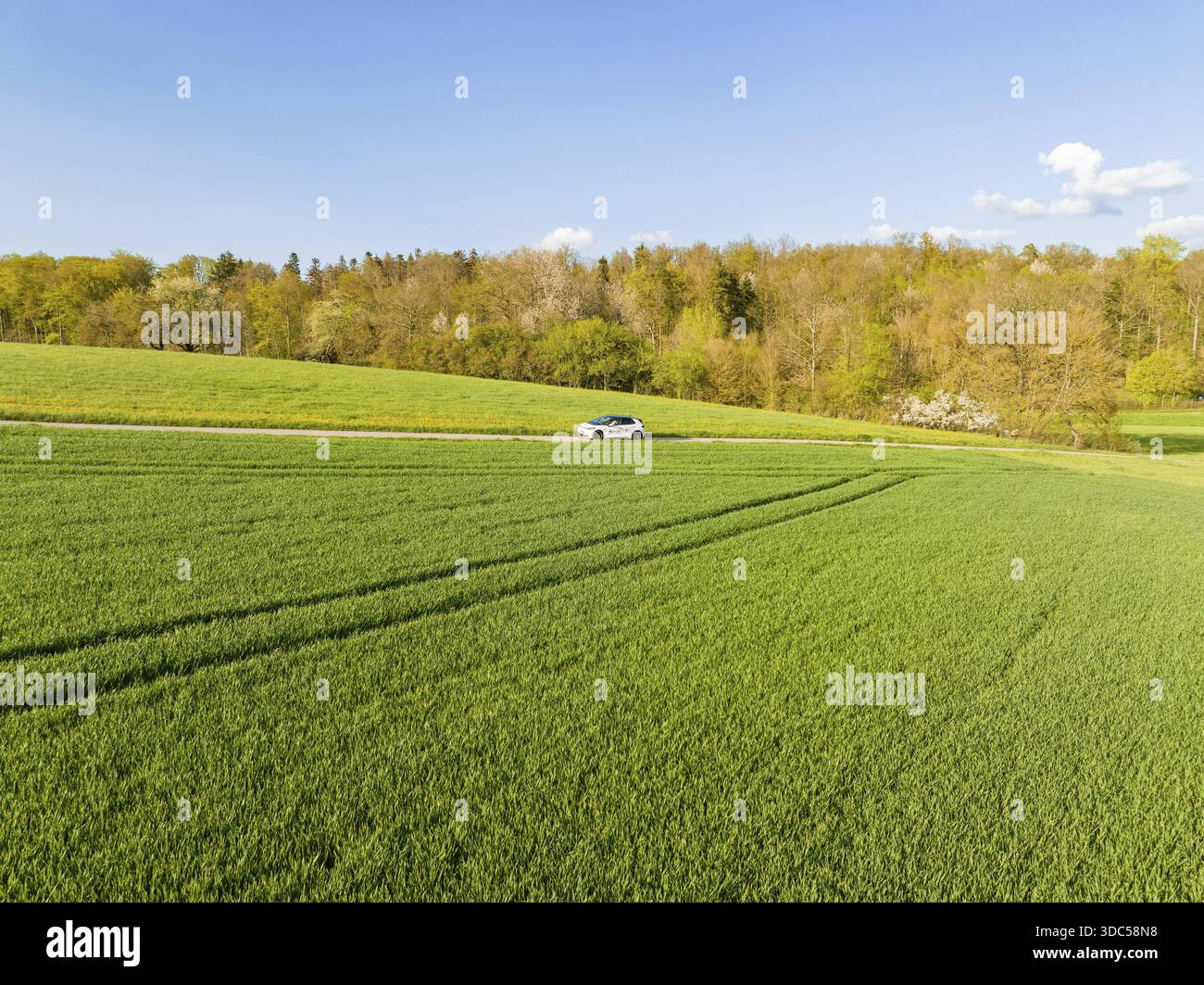 Auto su strada di campagna circondata da campi verdi sotto il cielo limpido, ID3 VW, condivisione auto con cervi. Calw, Germania Foto Stock