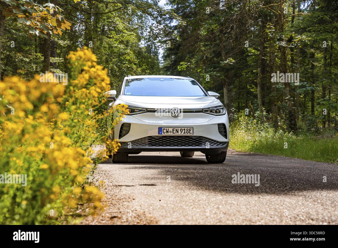 Volkswagen bianca su una strada nella foresta accanto a fiori gialli, auto elettrica VW ID4, Deer Carsharing, Calw, Germania Foto Stock