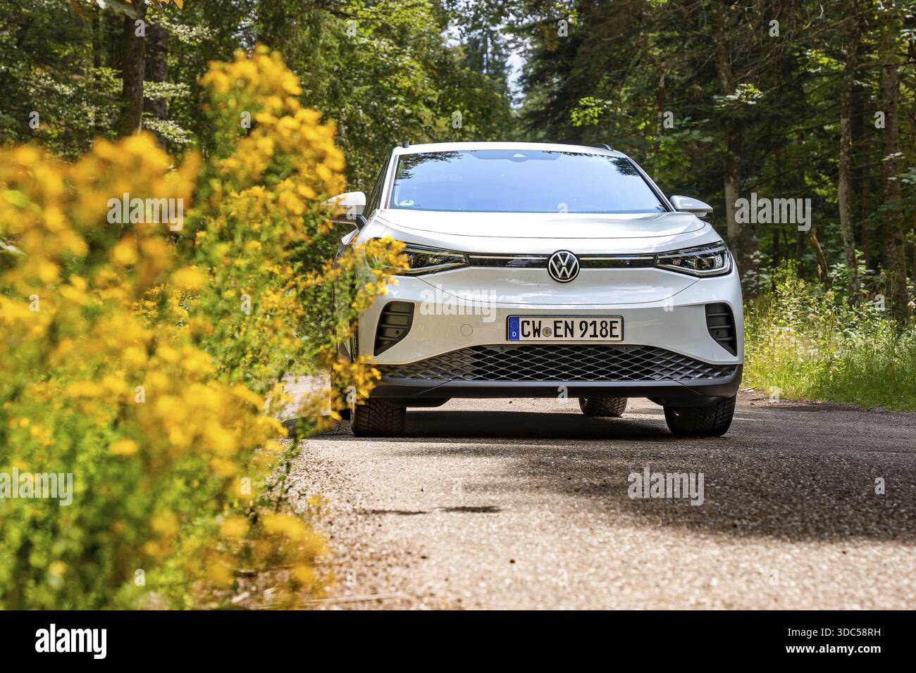 Volkswagen bianca su una strada forestale accanto a fiori gialli, auto elettrica VW ID4, Deer Carsharing, Calw, Germania Foto Stock