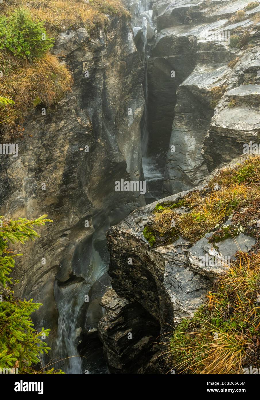 Nebbia che causa pareti umide del Canyon Sandbach sotto la parete nord dell'Eiger nelle Alpi svizzere Foto Stock