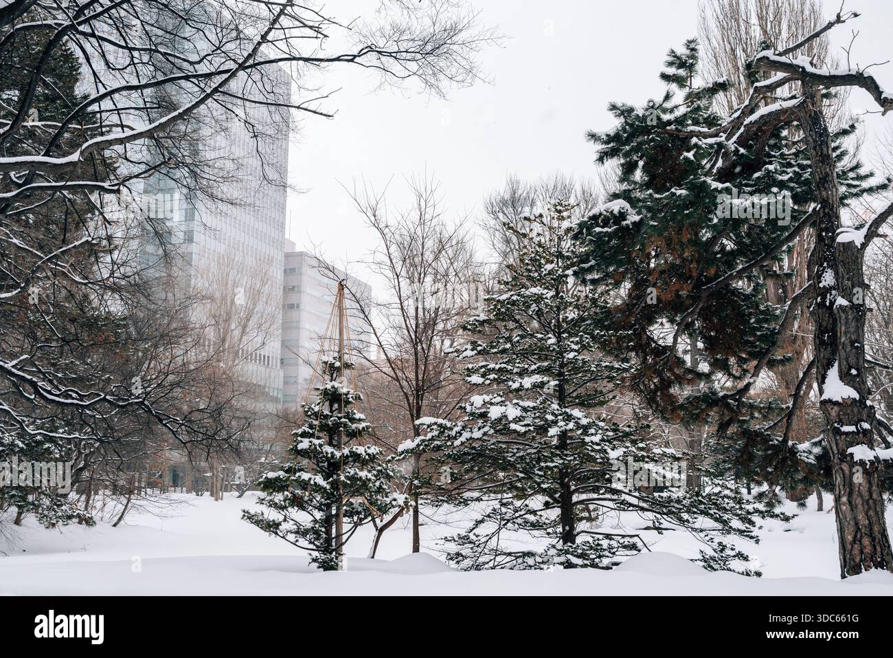 Scenario invernale innevato del Giardino degli uffici governativi di Hokkaido a Sapporo, Giappone Foto Stock
