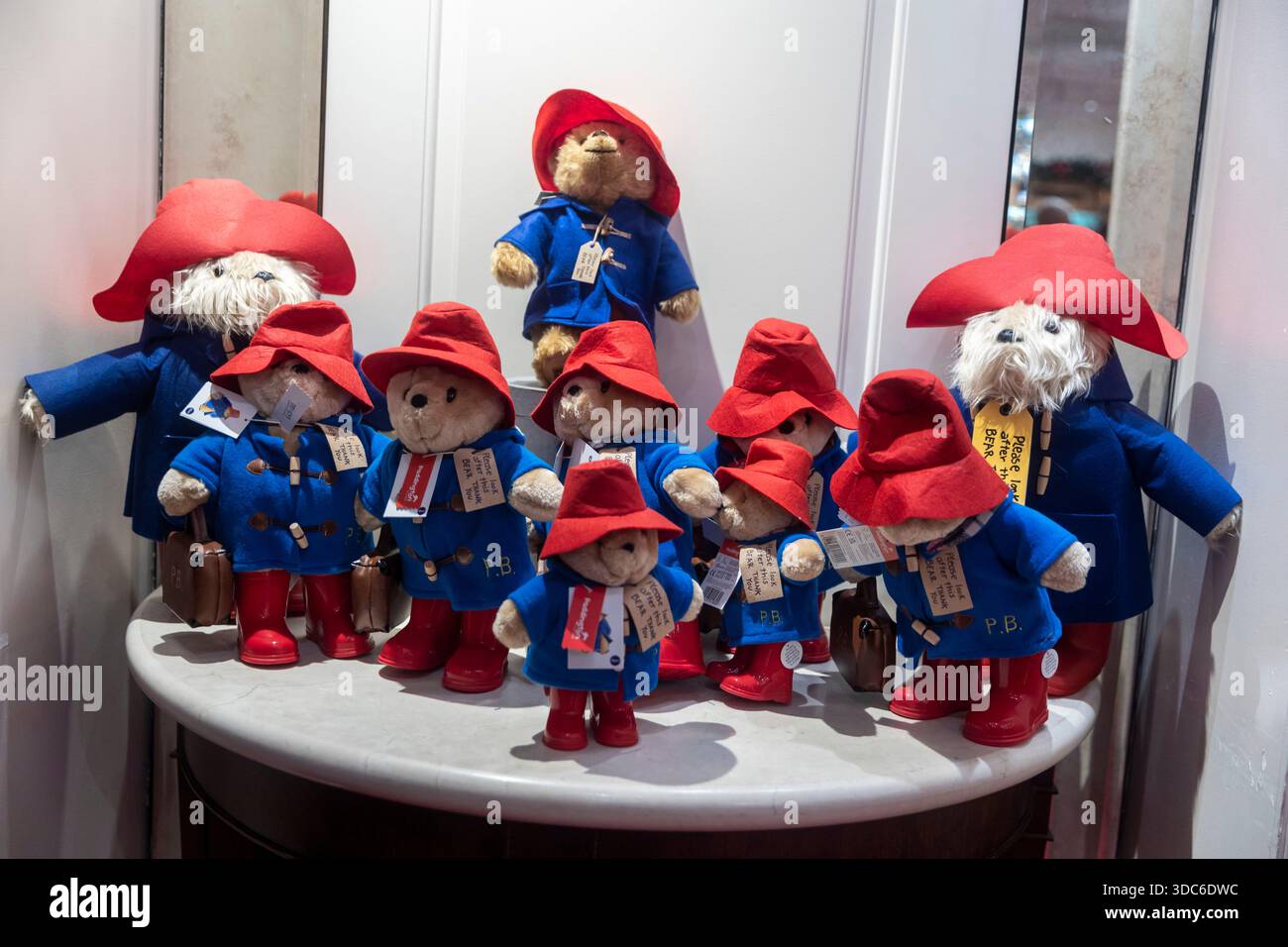 Paddington Bear BOX-01240 Spot The Difference Game