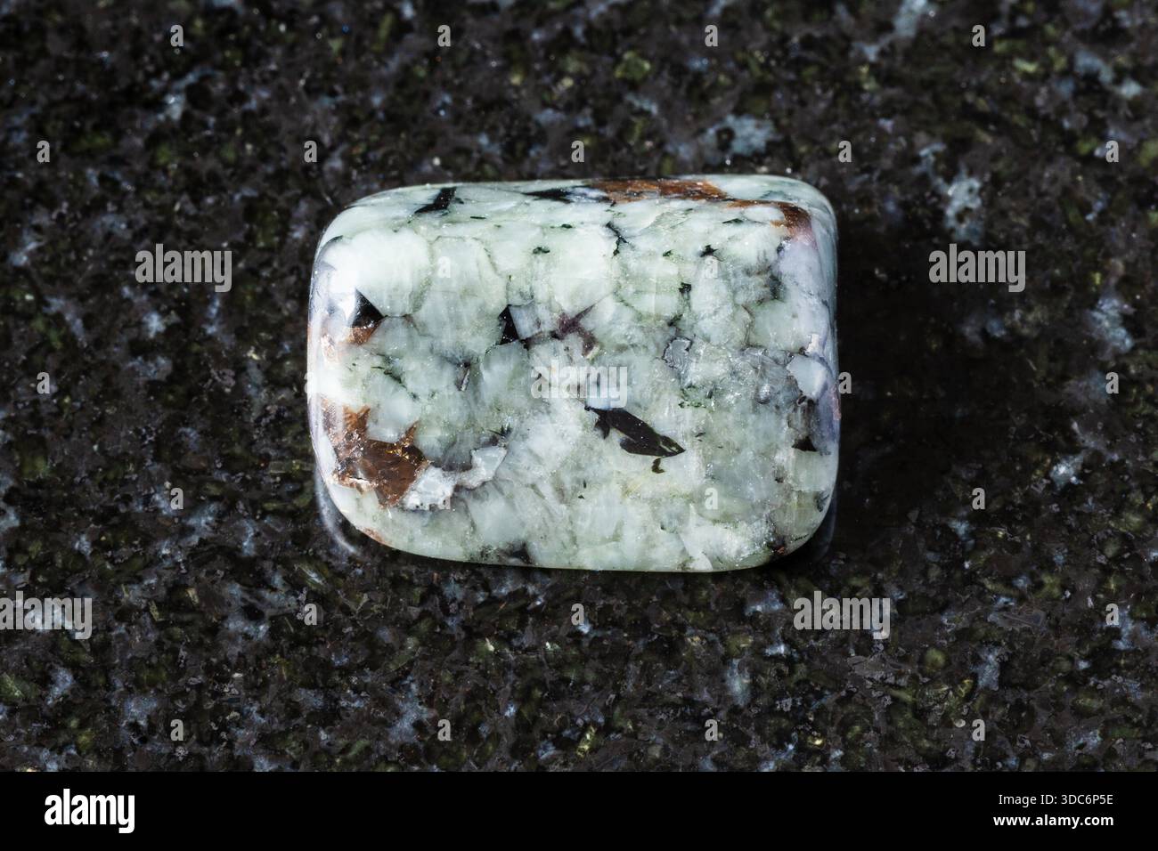 Assaggio di minerale di khibinite tumulato su fondo di granito nero da vicino da Khibiny, penisola di Kola, Russia Foto Stock