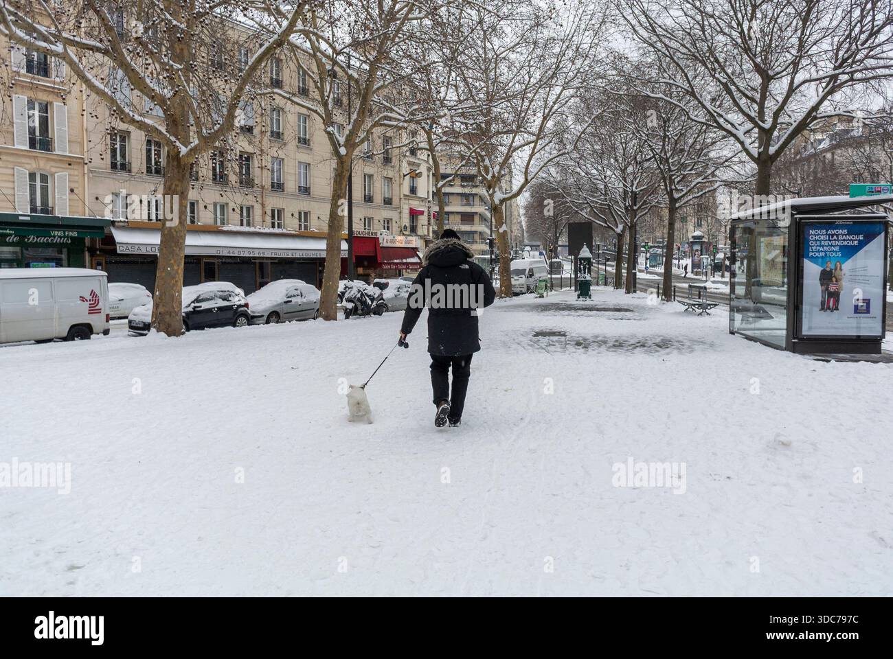 Parigi, Francia, Scene di strada, Parigi nella neve, uomo che cammina via con cane al guinzaglio, paesaggio invernale, (12° distretto) vita cittadina Foto Stock