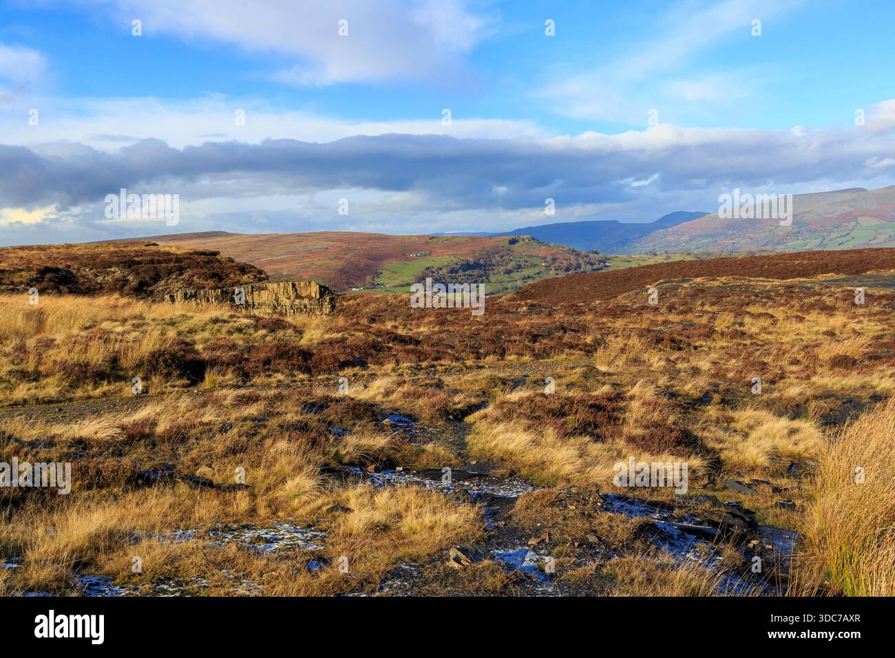 Brughiera che guarda verso Gilwern Hill da Pwll Du, Galles, Regno Unito Foto Stock