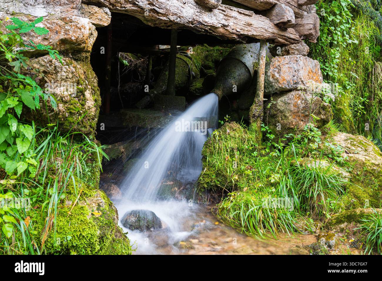 L'acqua sotto pressione colpisce la vecchia ruota del mulino ad acqua, l'acqua proveniente dal vicino torrente attraverso un tubo metallico con ugello all'estremità, tutto è coperto di muschio Foto Stock