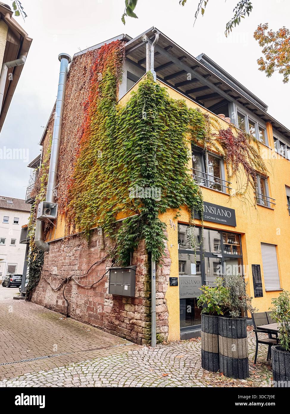 Rastatt, Germania - 15 ottobre 2024: Edificio coperto di edera in un'area urbana caratterizzato da vivaci pareti gialle e verde fogliame, che creano un bel contorno Foto Stock