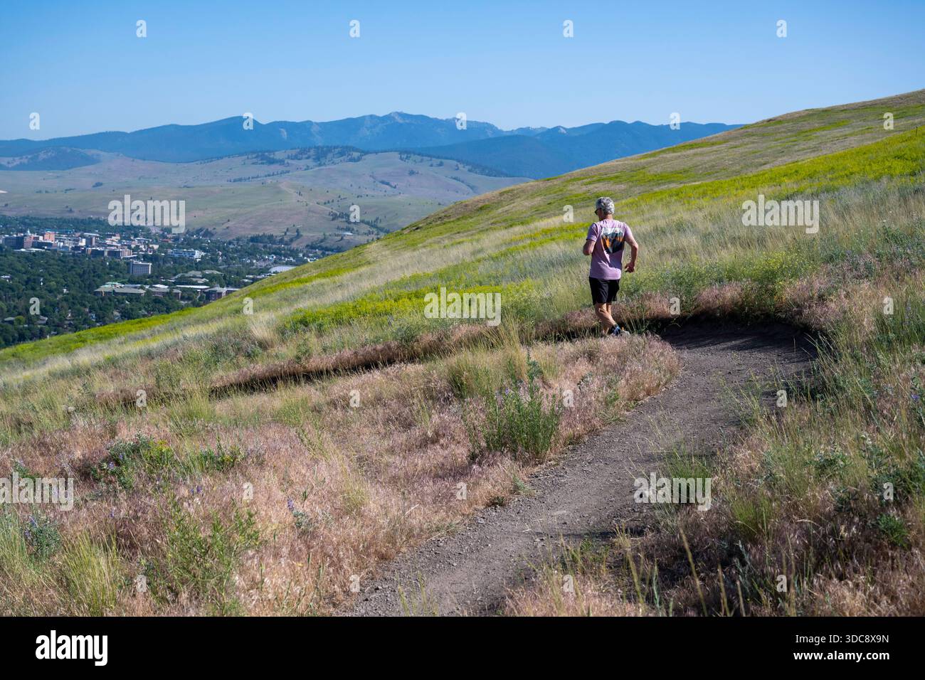17 giugno 2025. Corridore che scende dal monte Jumbo sopra Missoula, Montana. Foto Stock