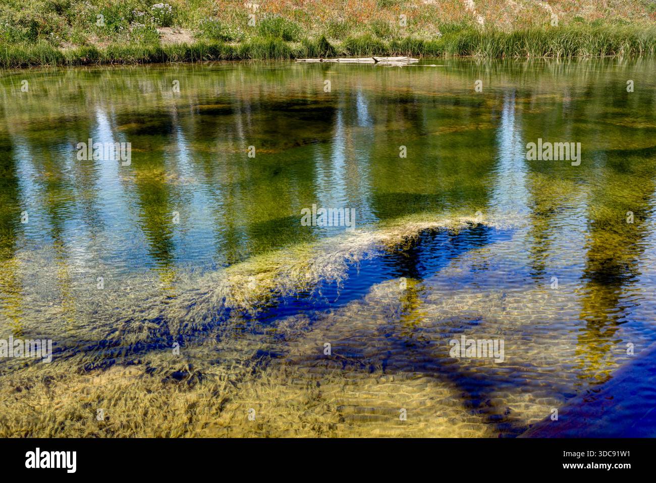 Alpine Pond, Alpine Pond Loop Trail, Cedar Breaks National Monument, Utah, Stati Uniti Foto Stock
