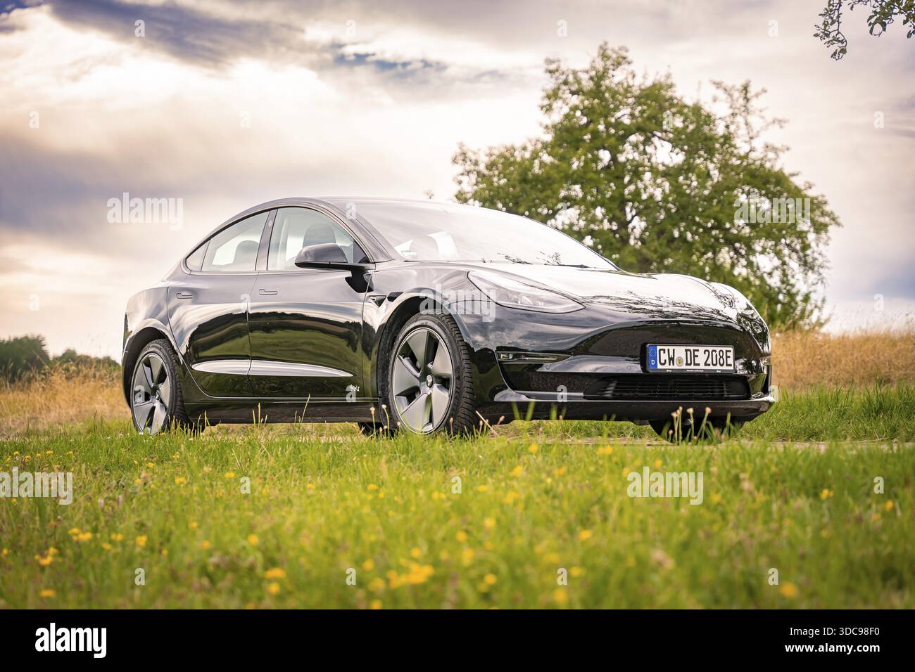 Auto nera su strada di campagna con albero sullo sfondo sotto il cielo nuvoloso, Deer e-Carsharing, Tesla Model 3, Calw, Germania Foto Stock