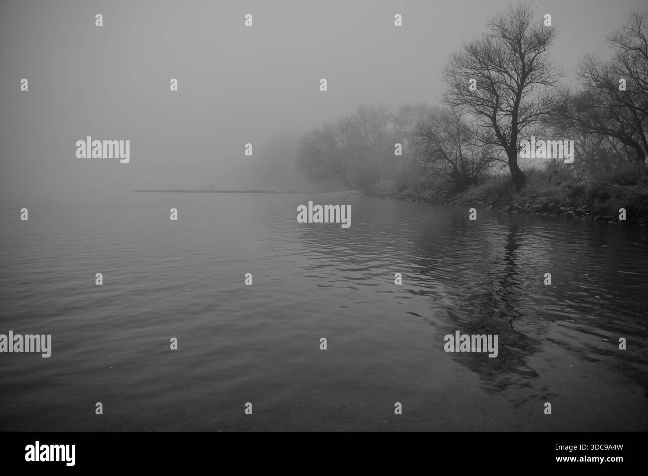 Il tranquillo Danubio è circondato da alberi di fitta nebbia. La superficie dell'acqua riflette le sagome degli alberi. È sera Foto Stock