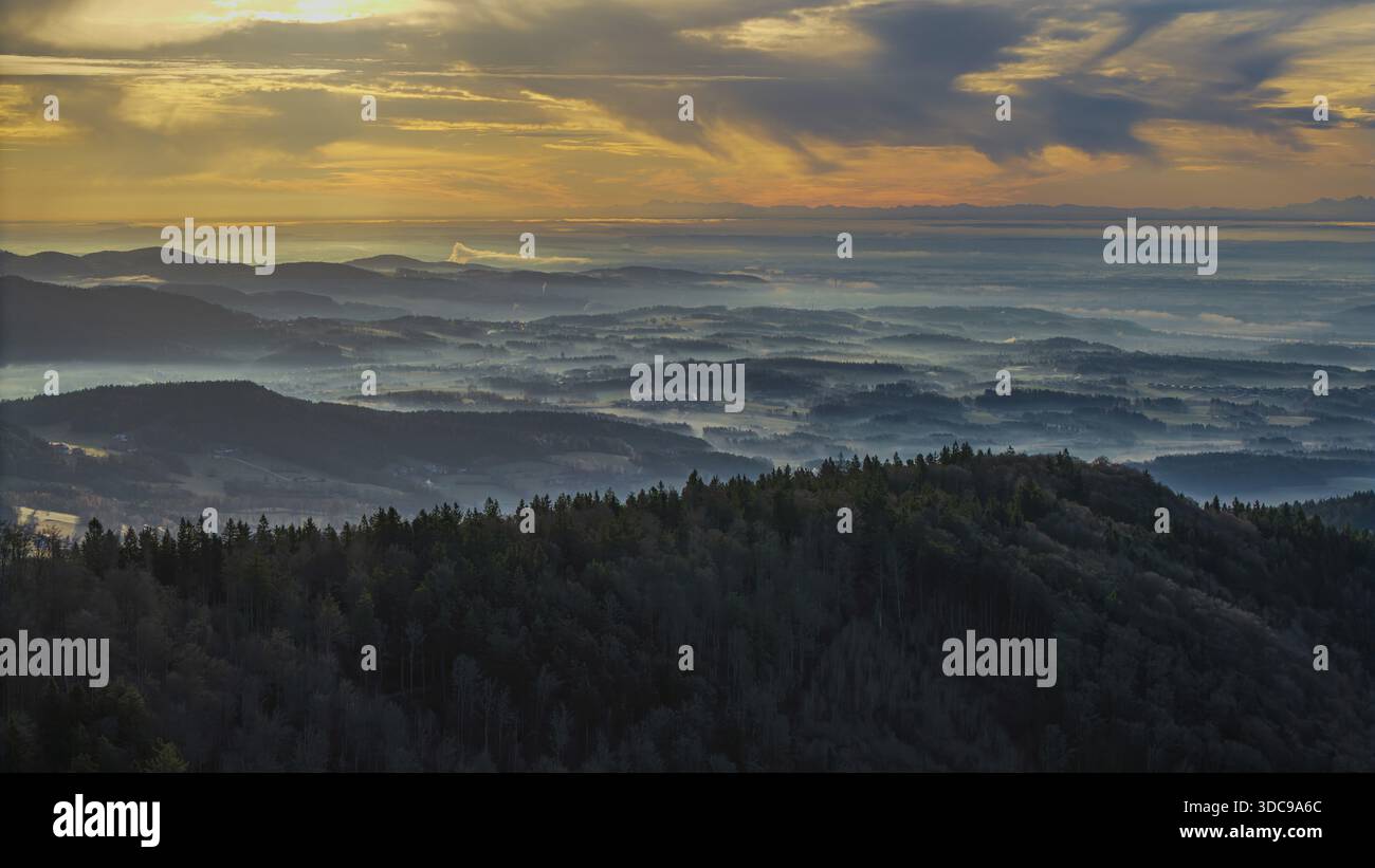 Un'alba mostra un mare di nebbia su un'area boscosa. I colori nel cielo cambiano da giallo a blu. La vista va oltre la campagna fino all'orizzonte Foto Stock
