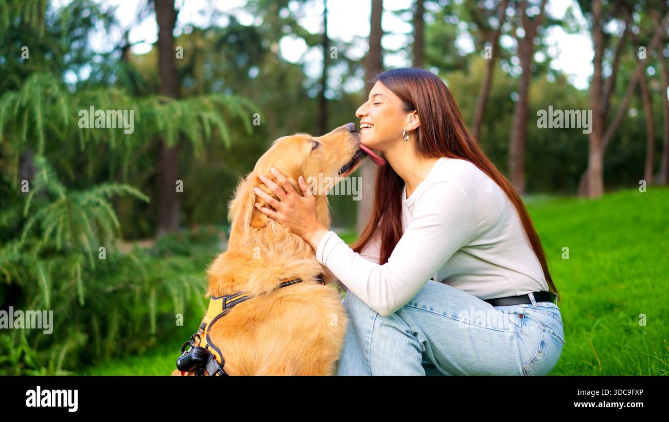 Donna che riceve affetto dal cane Golden retriever nel parco Foto Stock