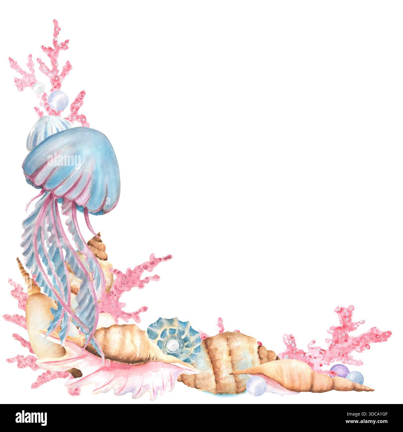 Angolo decorativo in basso a sinistra di coralli marini rosa, conchiglie, perle e meduse. Decorazioni in acquerello. Clipart del mondo sottomarino. wat disegnato a mano Foto Stock