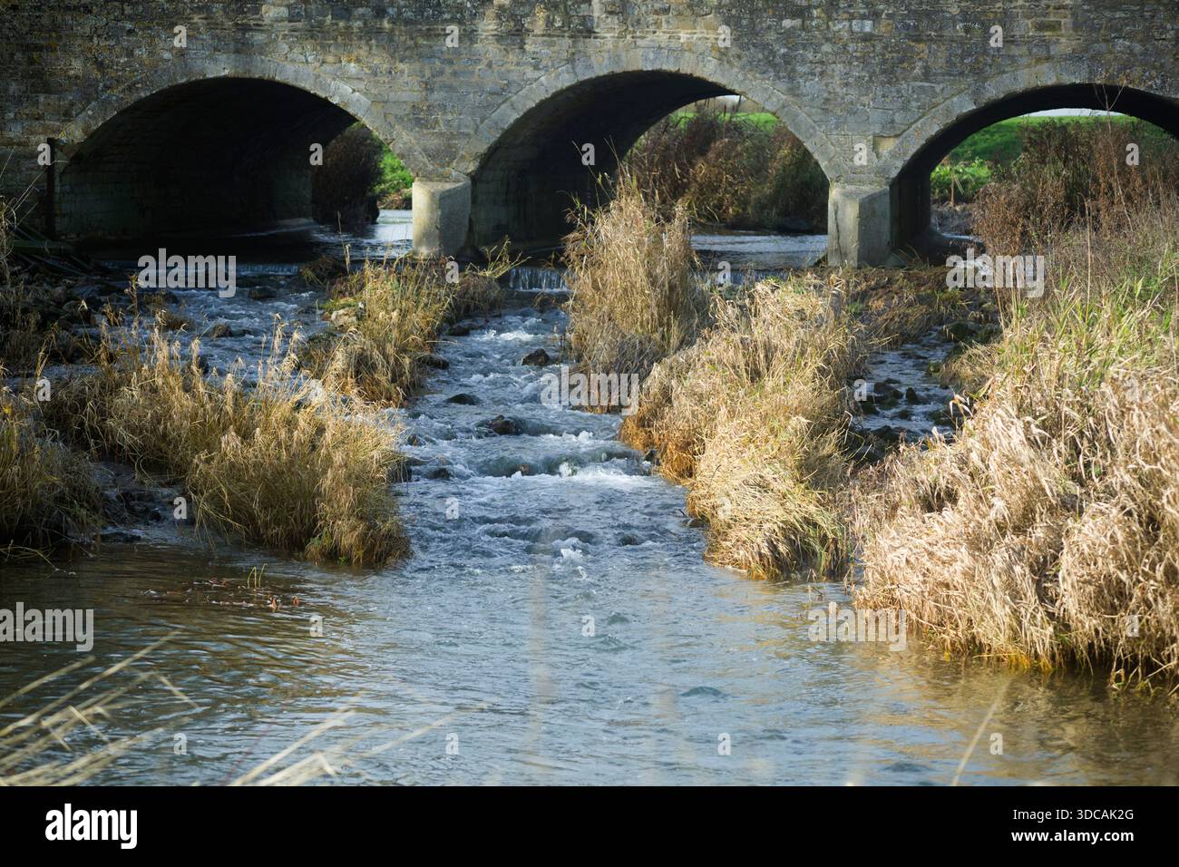 Ruscello che scorre attraverso un ponte a tre archi circondato da erba paludosa. L'acqua del ruscello è stabile e si ripete attraverso piccole rocce nell'acqua. Foto Stock