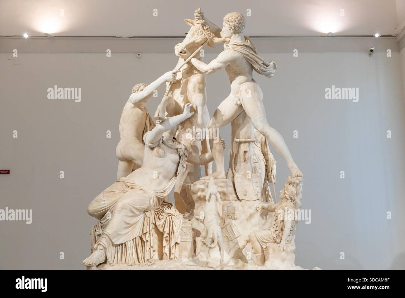 NAPOLI, ITALIA - GIUGNO 26 2025: Gruppo di statue in marmo del toro Farnese esposto nel Museo Archeologico Nazionale di Napoli, raffigura una scena mitologica con Dirce, evoca drammi e grandiosità. Foto Stock