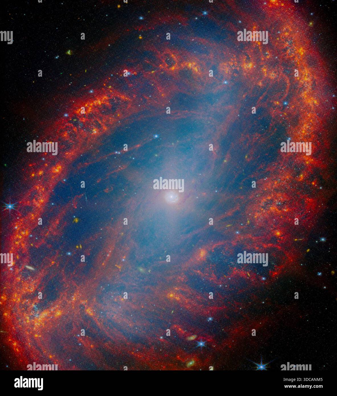 Uno sguardo da vicino a una galassia locale (NGC 2566), una galassia a spirale di forma ovale Foto Stock