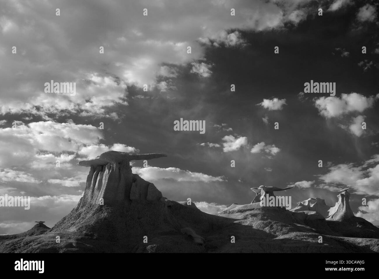 The Wings of De-Na-Zin Wilderness, Bisti Badlands, New Mexico Foto Stock