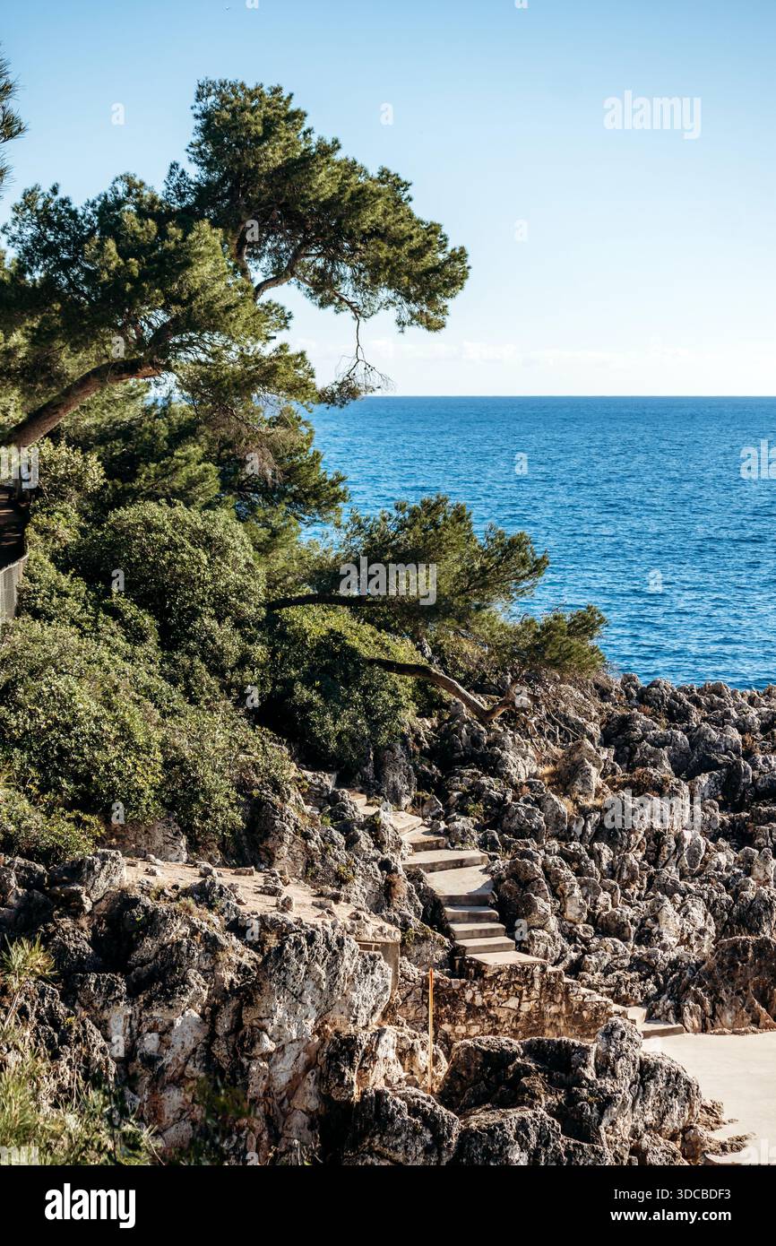 Un paesaggio costiero panoramico con aspre scogliere rocciose, pini mediterranei e gradini di pietra che scendono verso il mare turchese sotto un blu limpido Foto Stock