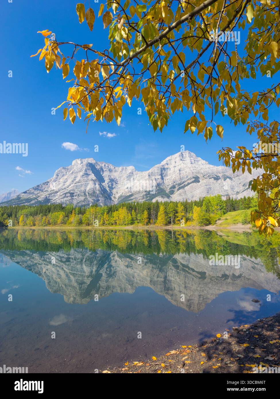 Crolla i colori e i riflessi al laghetto a cuneo con il monte Kidd che si innalza sullo sfondo. Kananaskis Country, Alberta, Canada. Foto Stock