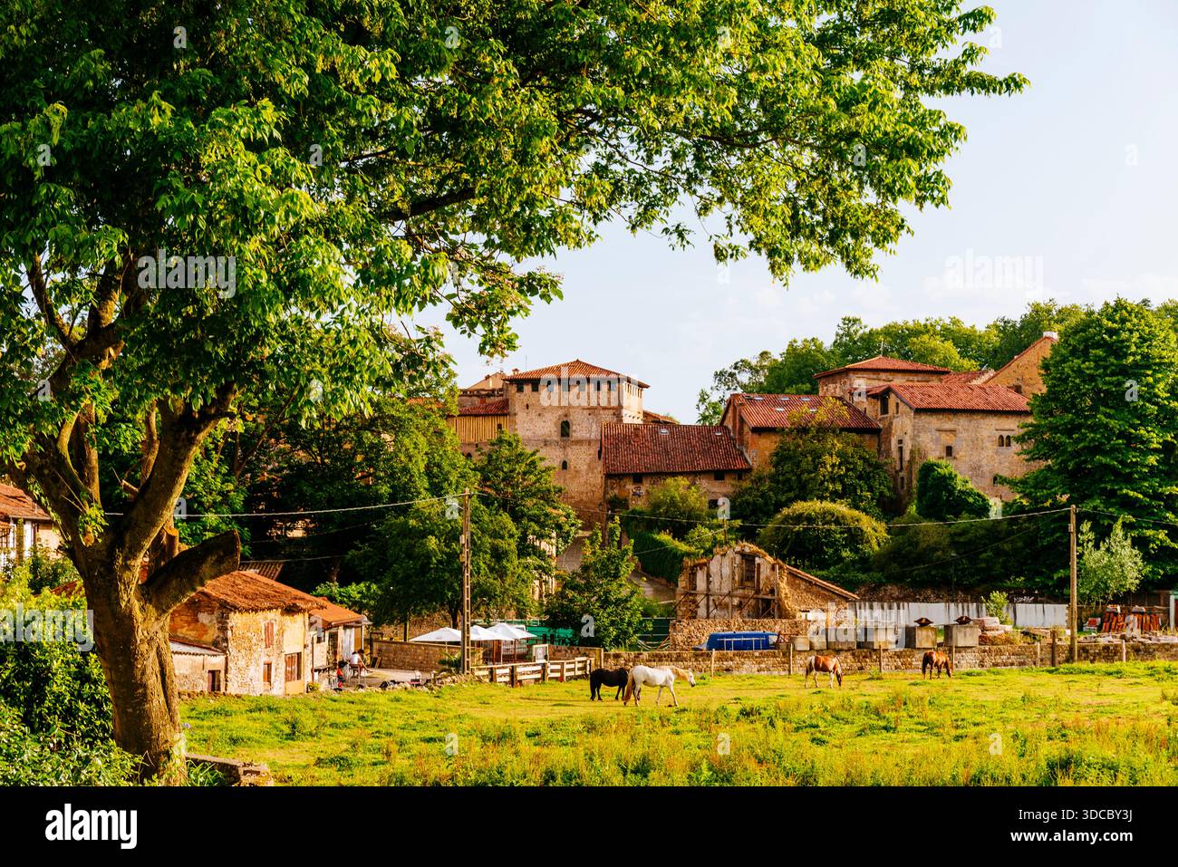 Vista del villaggio di Santillana del Mar, Cantabria, Spagna, Europa Foto Stock