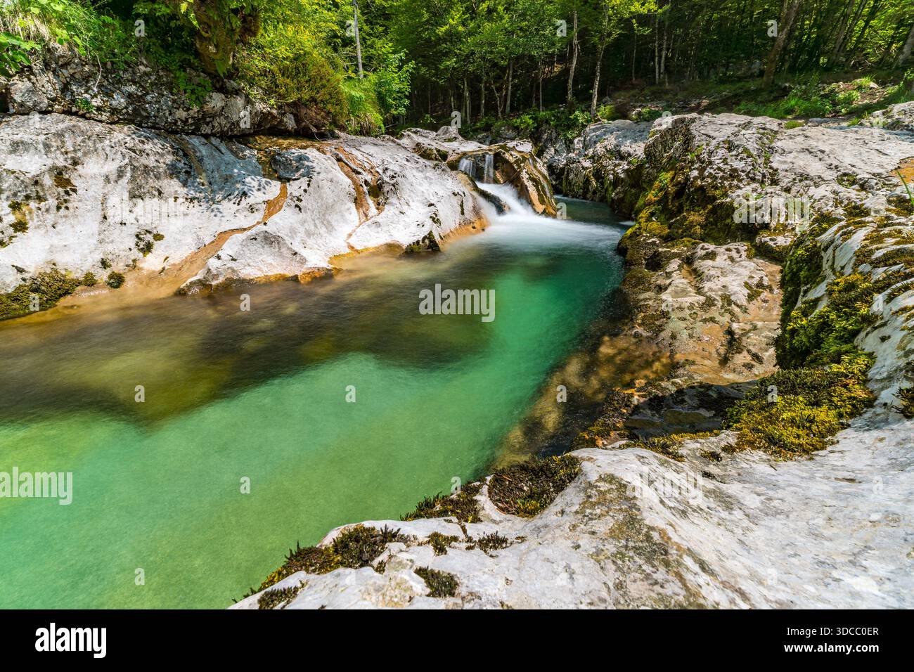 Una tranquilla cascata scorre con grazia sulle rocce calcaree nel lussureggiante Parco Nazionale del Triglav in Slovenia, evocando pace e bellezza incontaminata in una vibrante avidità Foto Stock