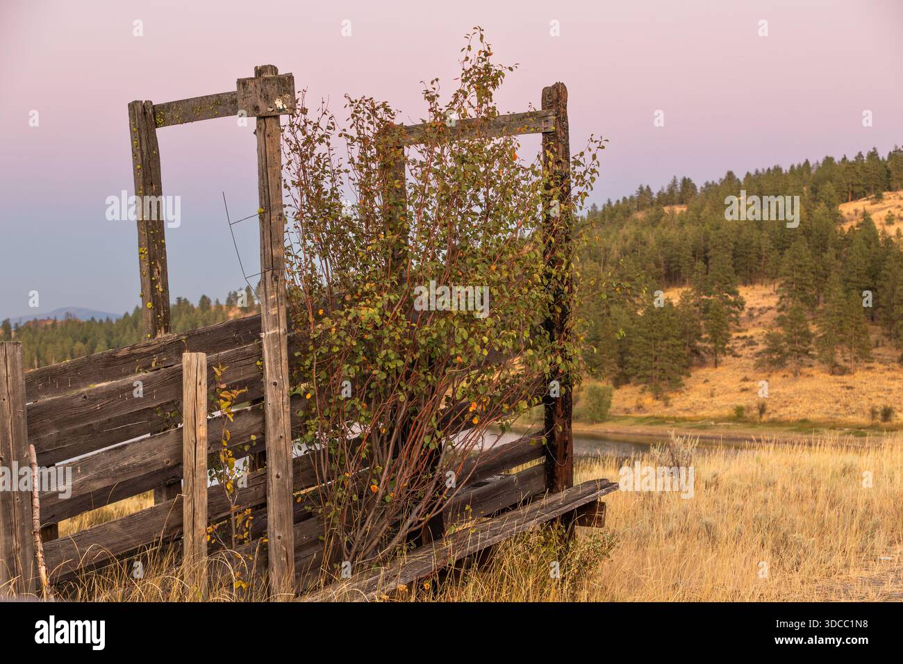 Corral presso il lago leader nella zona orientale di Washington Foto Stock