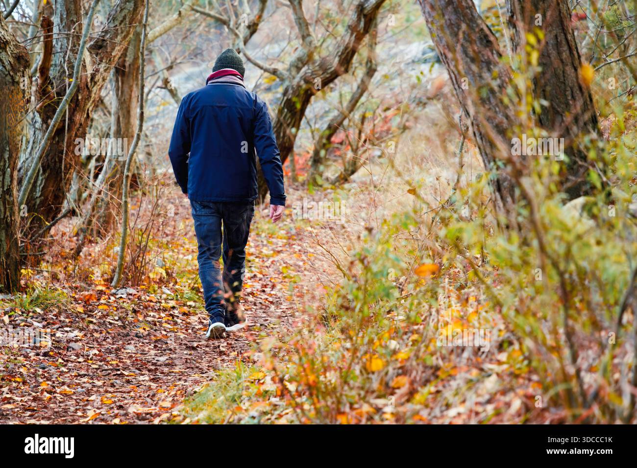 Concetto di viaggio di vita con un anziano che cammina lungo un sentiero boschivo, simboleggiando l'esperienza, la transizione, la solitudine, la direzione personale, e mo Foto Stock