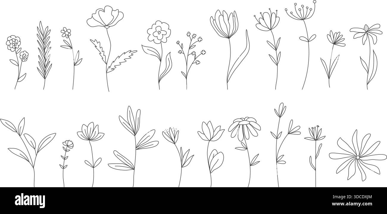 Delineare le illustrazioni di fiori ed erbe. Set di inchiostri a mano per piante botaniche. Elementi vettoriali dello stile di schizzo con effetto boodle in fiore e verde Illustrazione Vettoriale