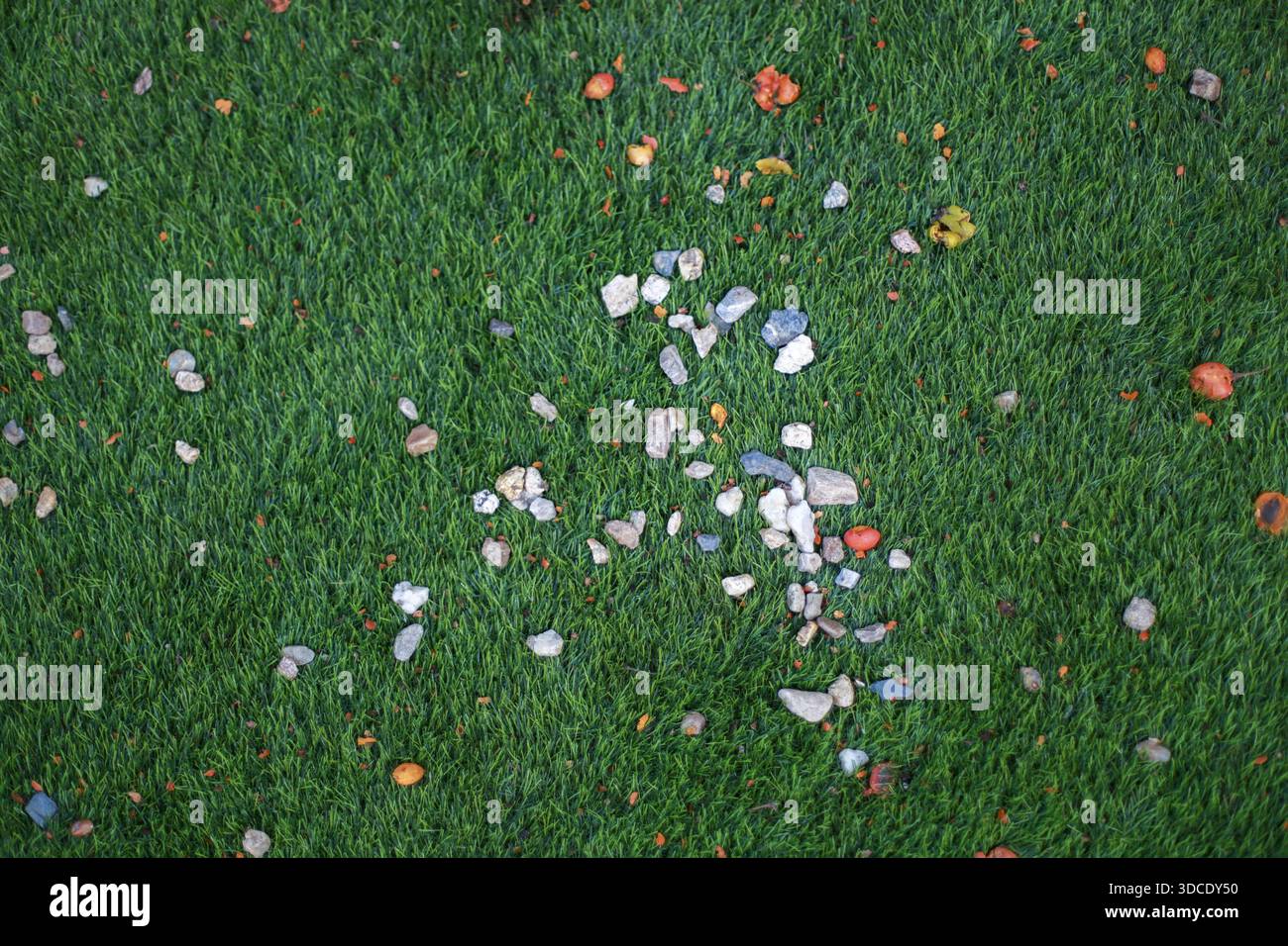 Piccoli ciottoli colorati e pezzi di pietra bianca sparsi su una vivace texture verde artificiale in erba con motivo disordinato che crea un'atmosfera giocosa Foto Stock