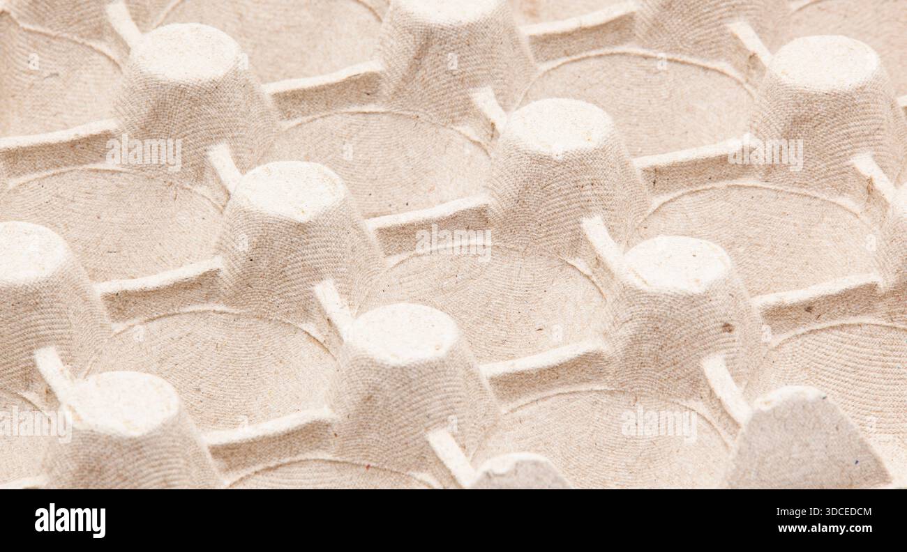 Consistenza macro astratta di confezioni vuote di uova di cartapesta. Carta riciclata ecocompatibile, concetto di riciclaggio/ Foto Stock