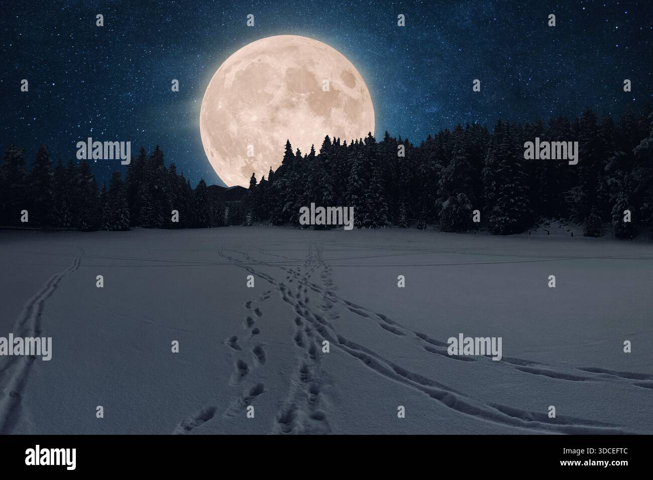 Luna piena che si innalza enorme sopra una buia silhouette invernale della foresta. Le impronte tracciano un percorso attraverso il campo innevato sotto la luce. Potente, magico, Foto Stock