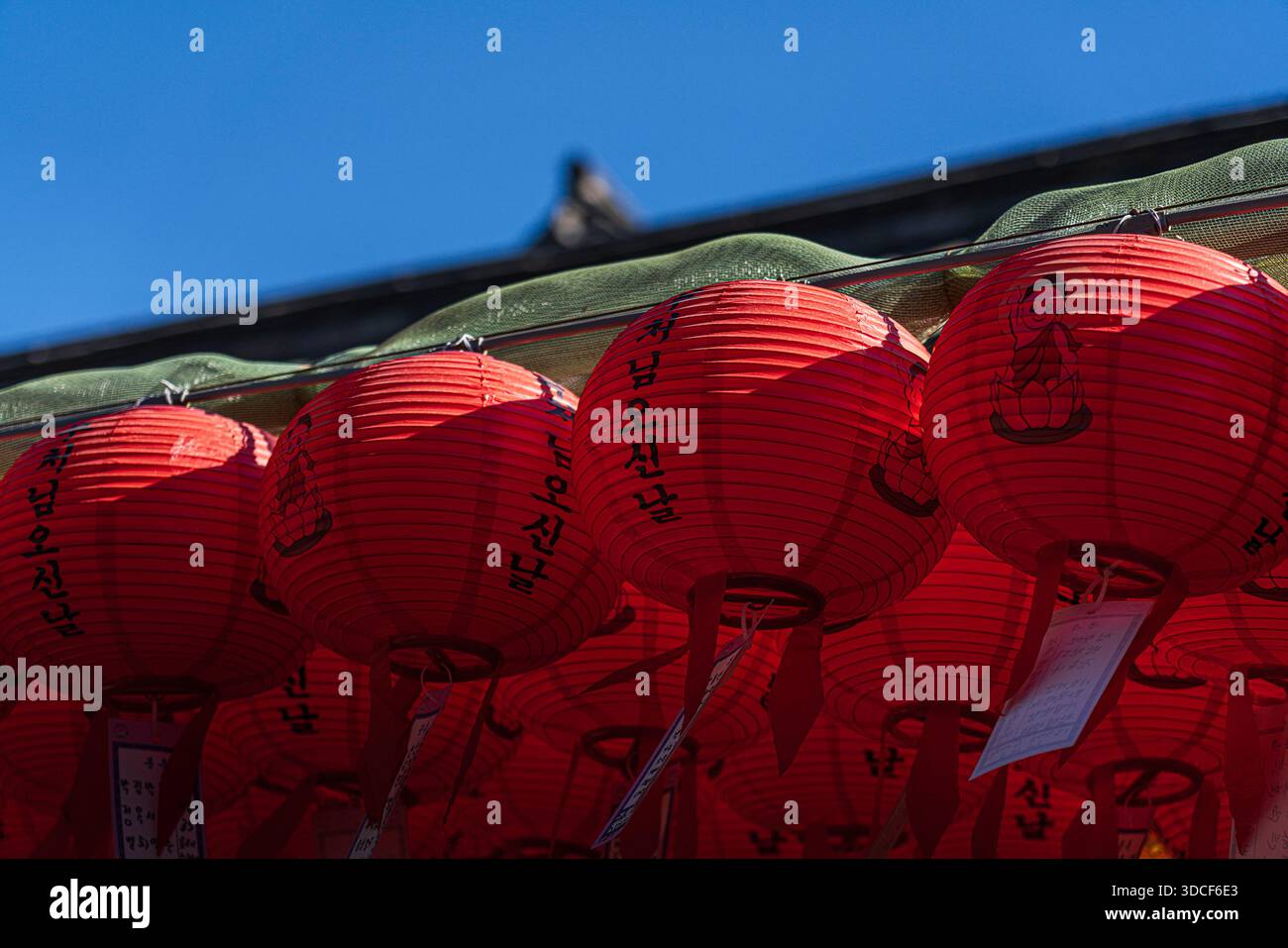 Gyeongju-si, Corea del Sud - 13 dicembre 2025: Veduta di lanterne rosse vibranti appese graziosamente, le loro superfici adornate da intricata calligrafia nera Foto Stock