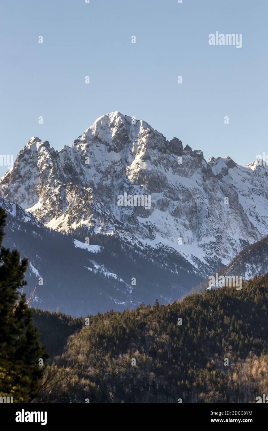 Vista delle vette innevate che si innalzano maestosamente contro il cielo azzurro, torreggiando sopra la fitta foresta verde scuro in Baviera, Germania. Foto Stock