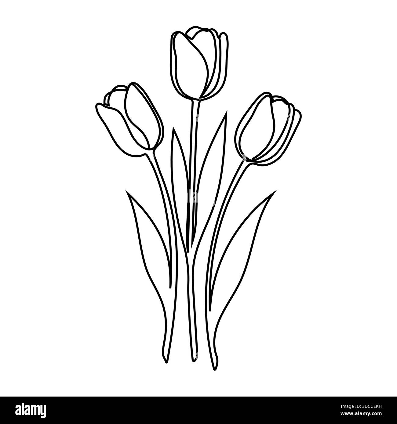 Tre tulipani. Fiori. Traccia modificabile linea continua. Illustrazione Vettoriale