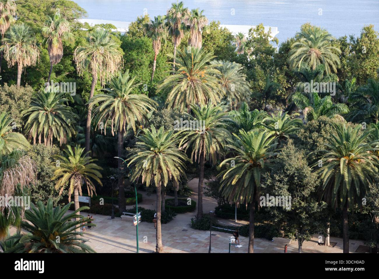 El Parque de Málaga, parco di Málaga. Spagna meridionale. Foto Stock