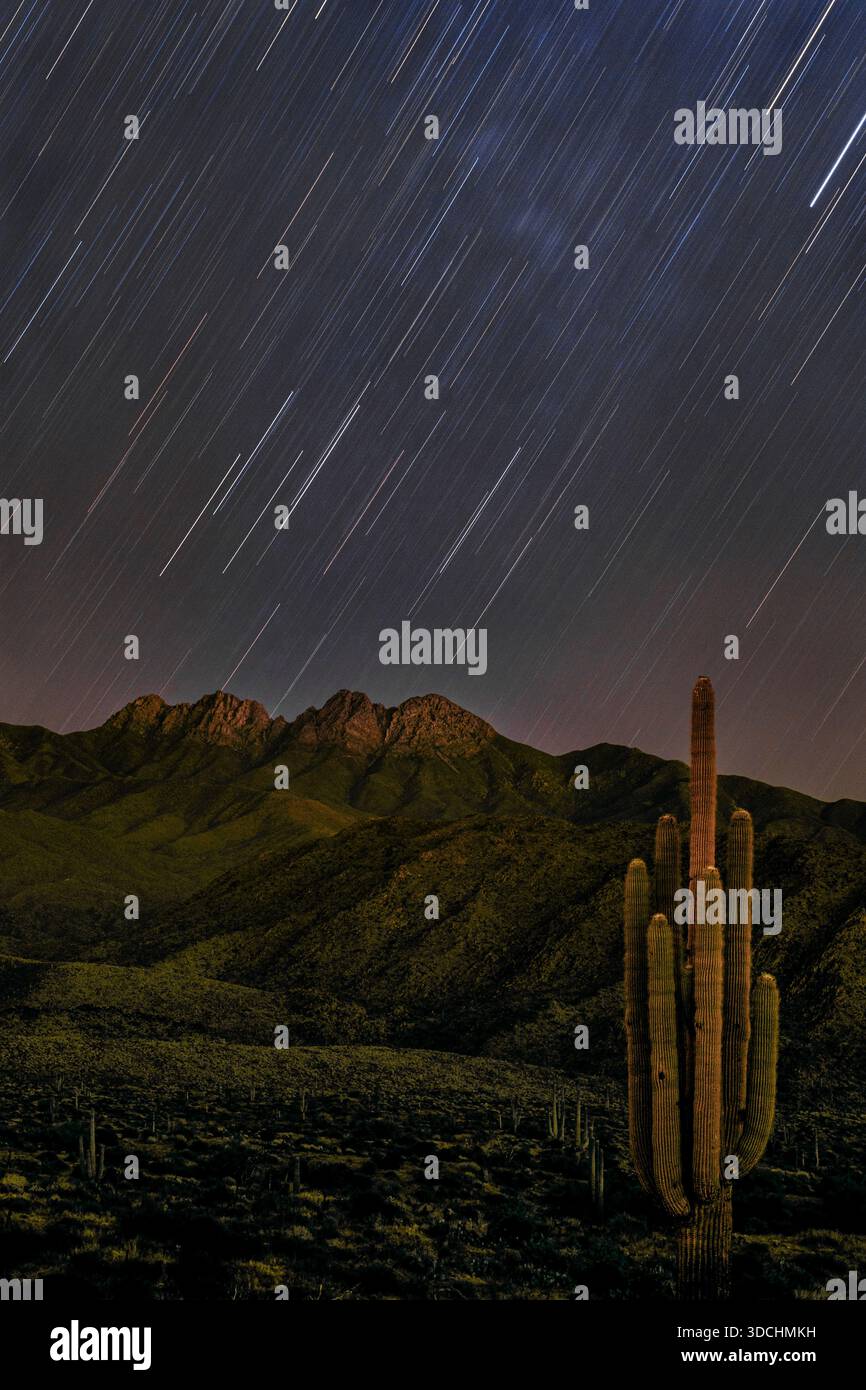 Percorsi stellari su Four Peaks, Mazatzal Mountains, Arizona Foto Stock