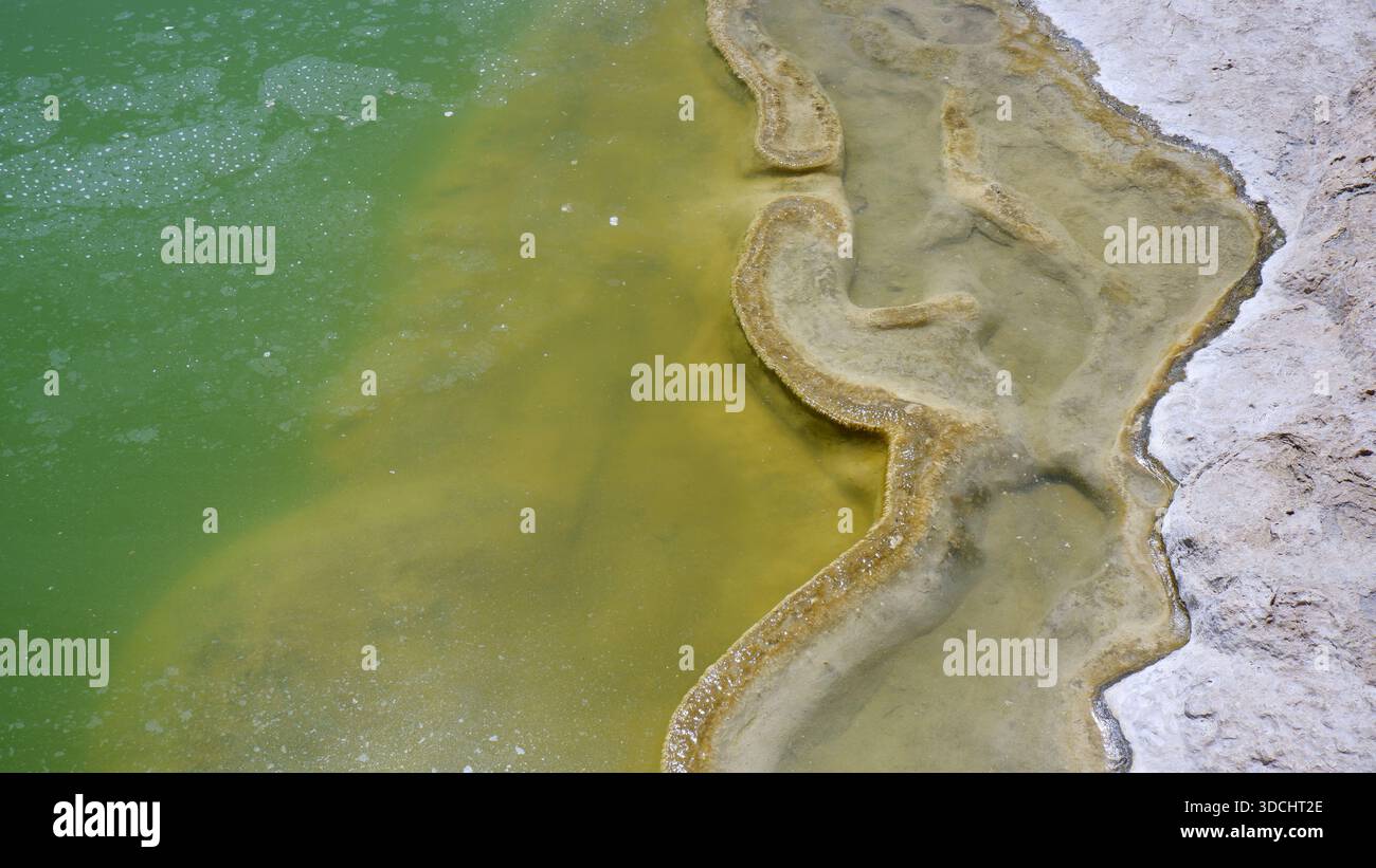Primo piano della vibrante sorgente termale verde di Oaxaca, Messico, con acqua termale ricca di minerali Foto Stock